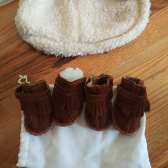 Dog booty & jacket - Picture 2 of 6